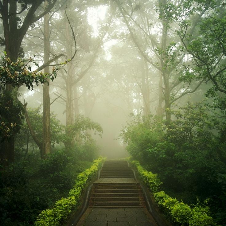 National parks landscape